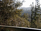 Lake Arrowhead Listing.